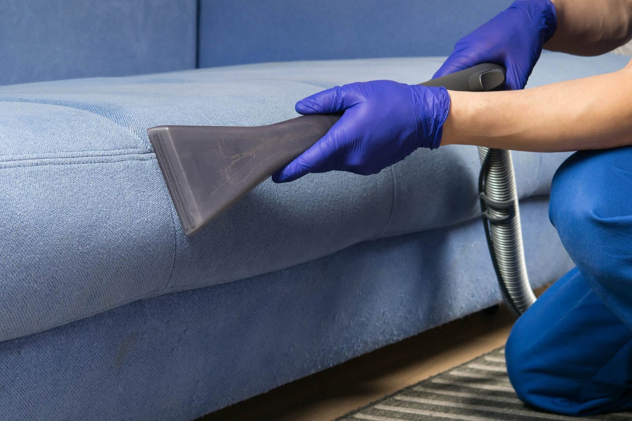 For What Reason Do You Need Professional Upholstery Cleaning In Bunbury