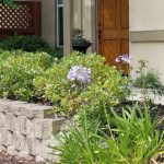 Low Maintenance Curb Appeal Ideas to Sell Your Home